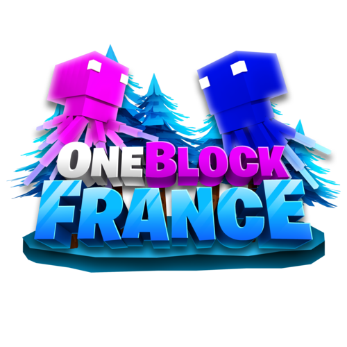 OneBlock France